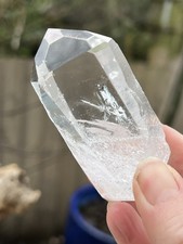 Large Lemurian Seed Very Clear