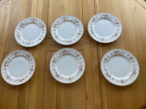 Paragon victoriana rose - paragon,