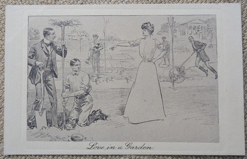 Love garden woman - in, garden'
