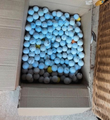 Mixed golf balls titleist - x,