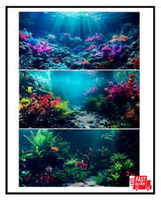 3 Pack Aquarium Background