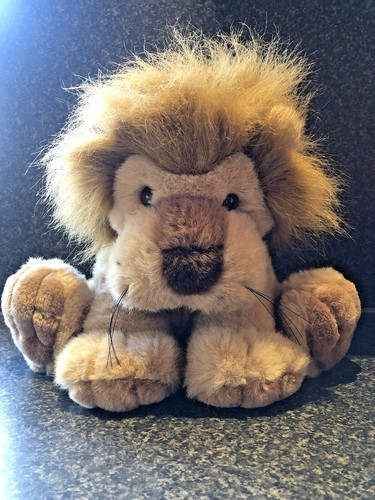 Sitting lion animal magic - sitting,