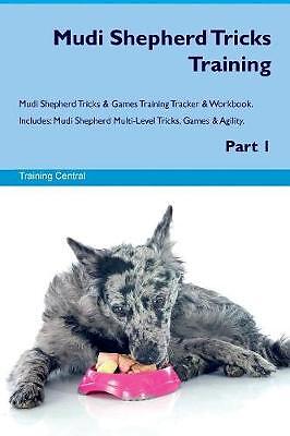 Mudi shepherd tricks training - mudi,