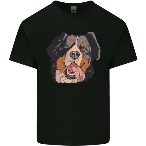 Bernese mountain dog - bernese,