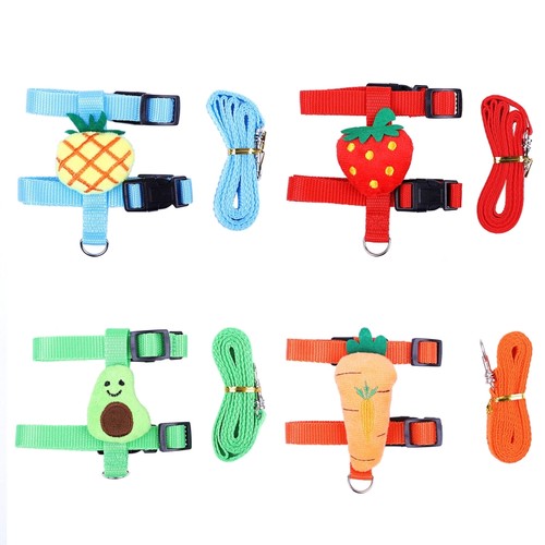 Rabbit harness and leash - rabbit, set