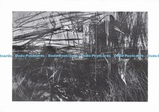 D282751 Graphite on Paper David Tress St Davis I West Wales Arts 1999