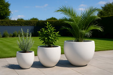 50cm Rustic White Egg