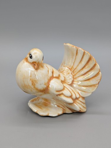 Vintage fantail pigeon dove - fantail,