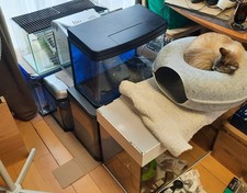 Fish Tank (Breeding) Set Up. HUGE BARGAIN!