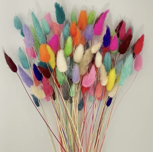 100 stems bright multi - 100,