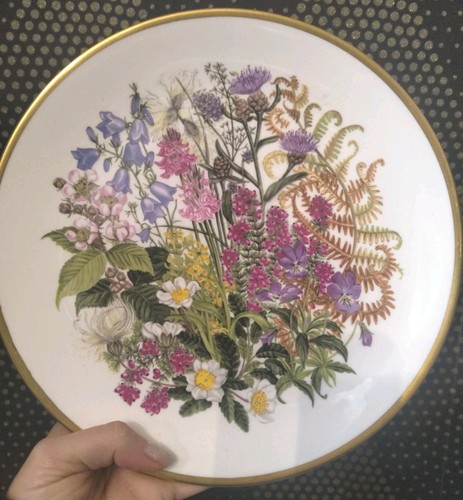 Superb caverswall china - superb,