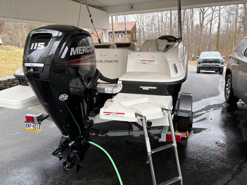 2019 bayliner element e18 - 2019,