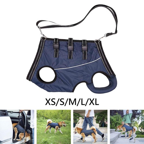 Dog mobility support harness - mobility,