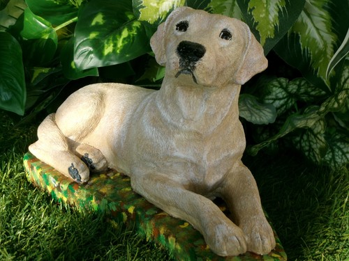 Labrador retriever concrete - labrador,