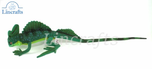 Hansa green basilisk - hansa,