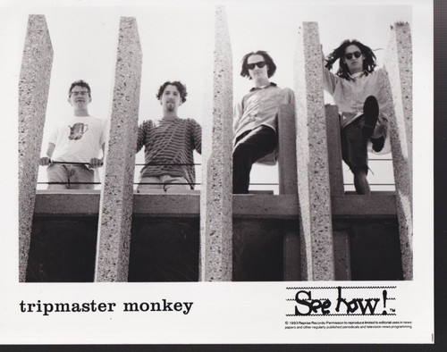 Tripmaster monkey press photo - tripmaster,