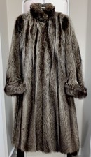 Vintage Genuine Real Raccoon