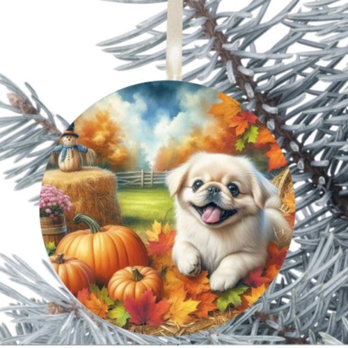 Tibetan terrier dog - terrier,