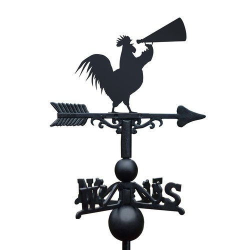 Rooster cone iron - cone,