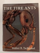 The Fire Ants