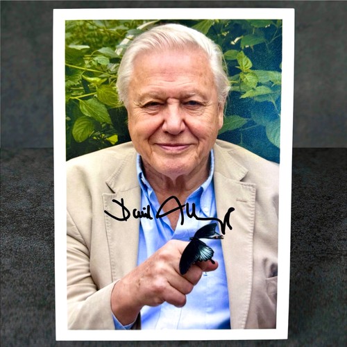 Sir david attenborough - david, hand