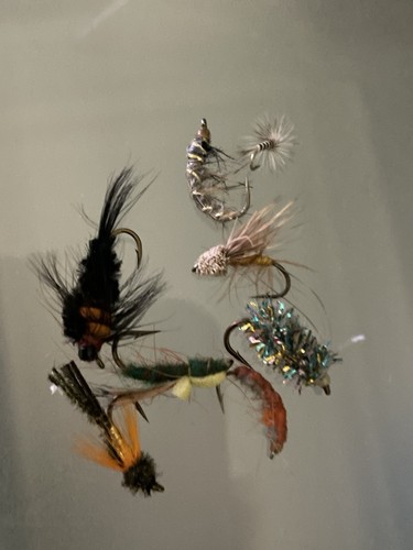Job lot fishing flies - job,