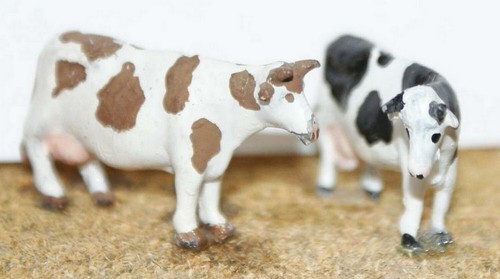 Friesian cows various - 2,