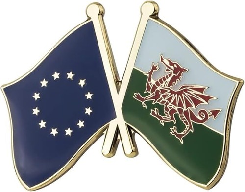 Wales national dragon - national,