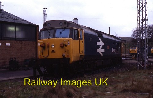 Railway photo old oak - -,