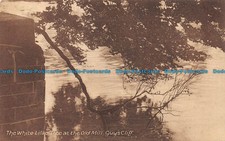 R061738 The White Lilac Tree at the Old Mill. Guys Cliff. H. Massey