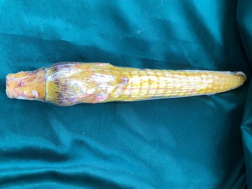 Ear corn taper candle - ear,