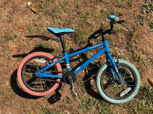 Raleigh blue pop - raleigh,