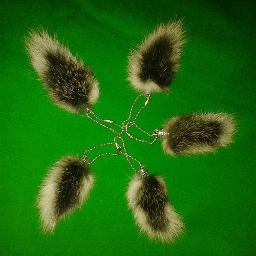 Bunny rabbit tail furry - bunny,