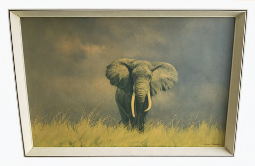David shepherd elephant - david shepherd,