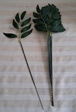 Willow eucalyptus stems 35cm