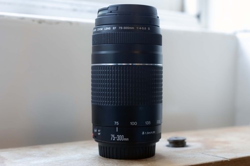 Canon 300mm 5 - 75-300mm, f/4.0-5.6