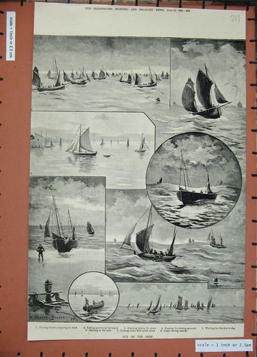 Original old antique print - old,