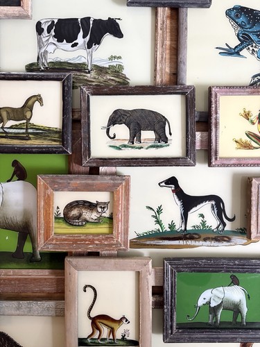 Animal reverse glass paintings - animal,