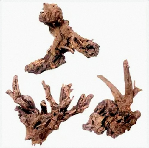 Natural mopani wood aquarium - mopani,