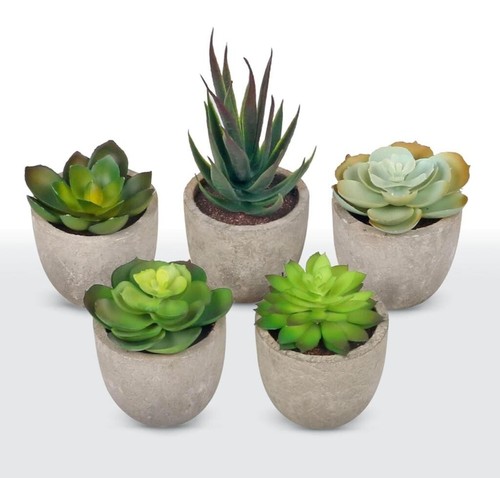 Artificial succulents plants - succulents, plants-5