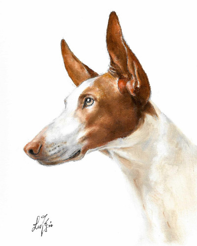 Original oil dog portrait - ✤,