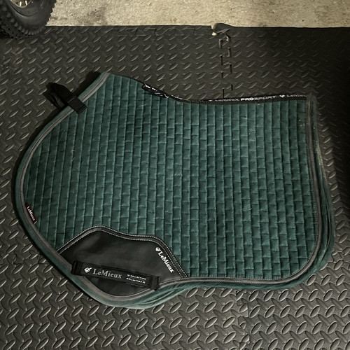 Lemieux spruce saddle - lemieux, pad