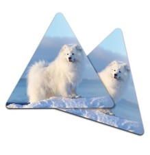 2x Triangle Coaster - Samoyed Fluffy White Dog Puppy #12673