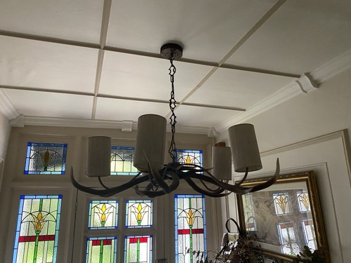 Light antler style - 5-light,