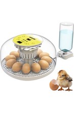Egg Incubator with Automatic