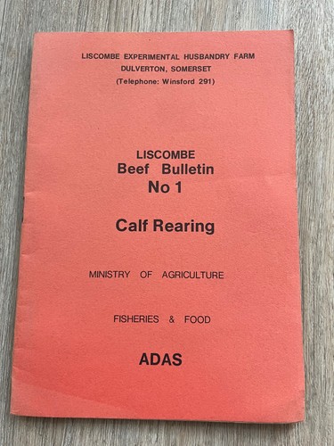 Liscombe number calf - liscombe,