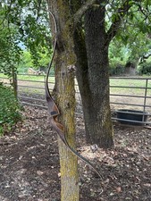 Lightly used bear cheyene - lightly,