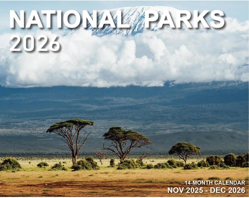 Calendar 2026 wall - calendar,