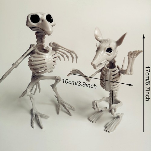 Halloween animal skeleton bone - halloween,