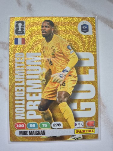 Panini fifa world - panini,